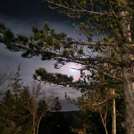 Dimora San Vincenzo *