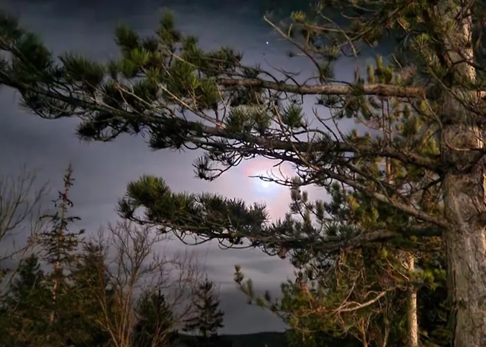 Dimora San Vincenzo *